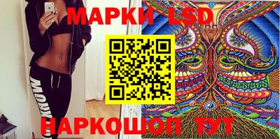 стаф Нальчик